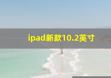 ipad新款10.2英寸