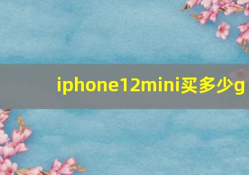 iphone12mini买多少g