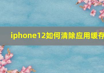 iphone12如何清除应用缓存