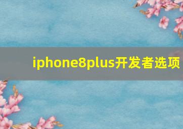 iphone8plus开发者选项