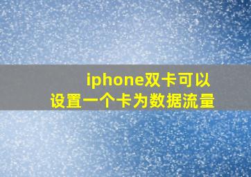 iphone双卡可以设置一个卡为数据流量