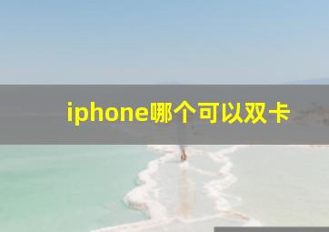 iphone哪个可以双卡