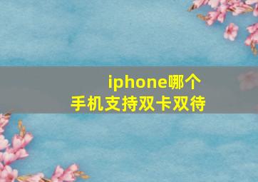 iphone哪个手机支持双卡双待