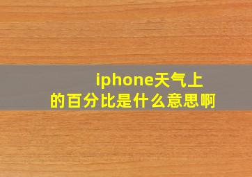 iphone天气上的百分比是什么意思啊