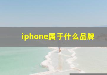 iphone属于什么品牌