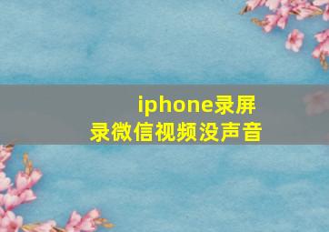 iphone录屏录微信视频没声音