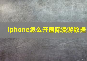 iphone怎么开国际漫游数据