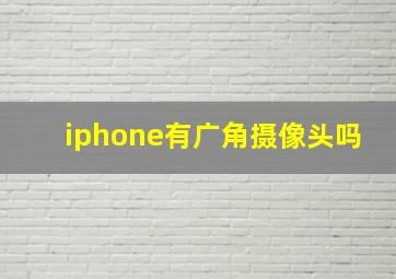 iphone有广角摄像头吗