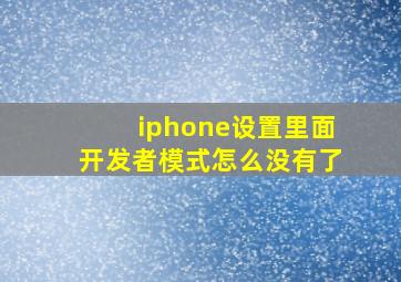 iphone设置里面开发者模式怎么没有了