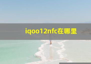 iqoo12nfc在哪里