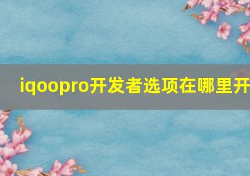 iqoopro开发者选项在哪里开