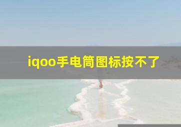 iqoo手电筒图标按不了