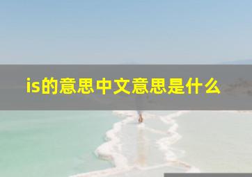 is的意思中文意思是什么