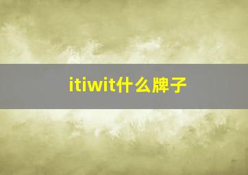 itiwit什么牌子