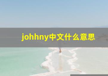 johhny中文什么意思