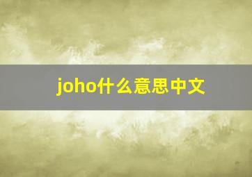 joho什么意思中文