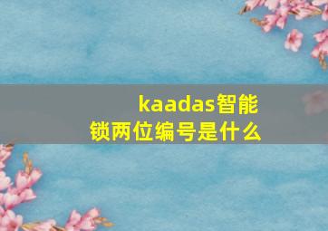 kaadas智能锁两位编号是什么