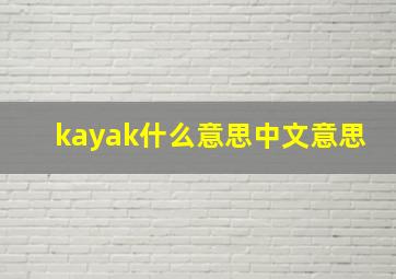 kayak什么意思中文意思