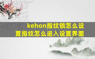 kehon指纹锁怎么设置指纹怎么进入设置界面