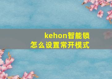 kehon智能锁怎么设置常开模式