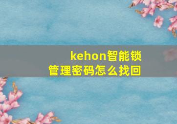 kehon智能锁管理密码怎么找回