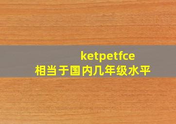 ketpetfce相当于国内几年级水平