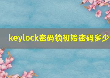 keylock密码锁初始密码多少