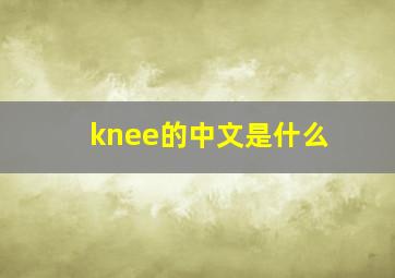 knee的中文是什么