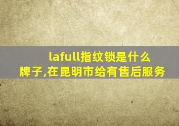 lafull指纹锁是什么牌子,在昆明市给有售后服务