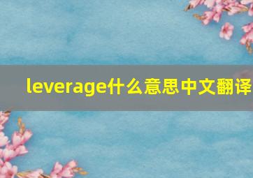 leverage什么意思中文翻译