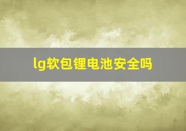 lg软包锂电池安全吗