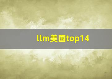 llm美国top14