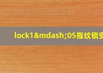 lock1—05指纹锁安装