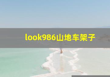 look986山地车架子