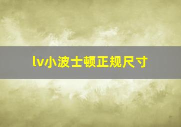 lv小波士顿正规尺寸