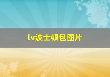 lv波士顿包图片