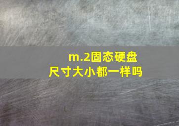 m.2固态硬盘尺寸大小都一样吗