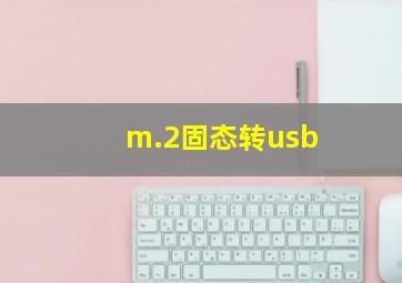 m.2固态转usb