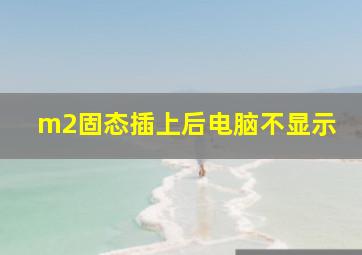 m2固态插上后电脑不显示