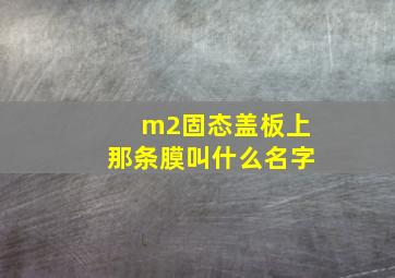 m2固态盖板上那条膜叫什么名字