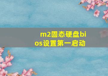 m2固态硬盘bios设置第一启动