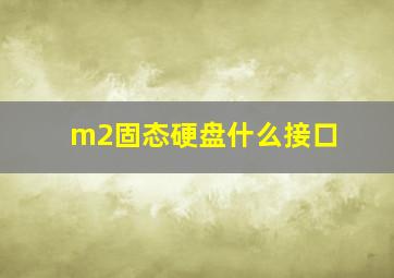 m2固态硬盘什么接口