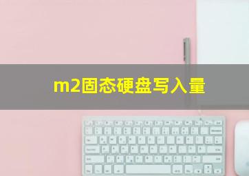 m2固态硬盘写入量