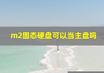 m2固态硬盘可以当主盘吗