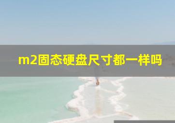 m2固态硬盘尺寸都一样吗