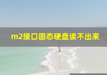 m2接口固态硬盘读不出来