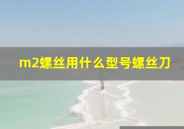 m2螺丝用什么型号螺丝刀