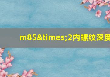 m85×2内螺纹深度