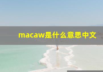 macaw是什么意思中文