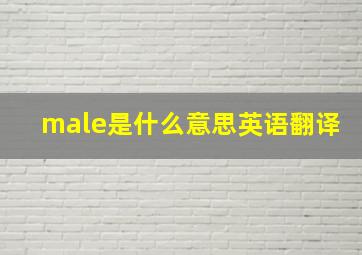 male是什么意思英语翻译